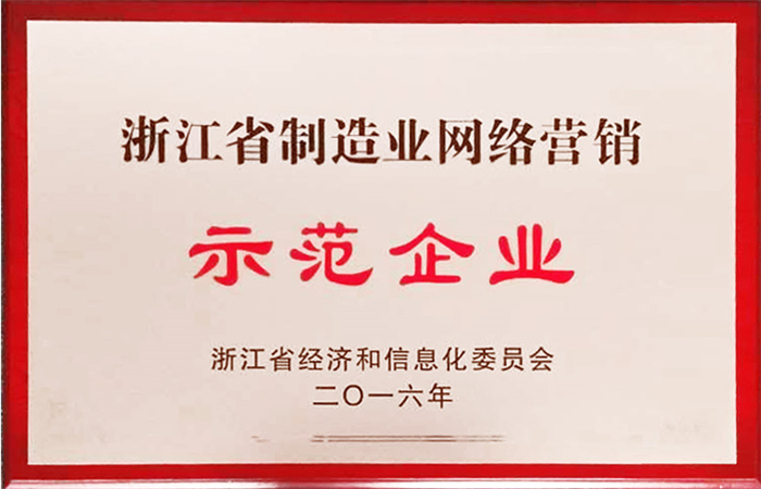 001-佳宝新纤维公司荣获首批浙江省制造业网络营销示范企业 - 副本.jpg