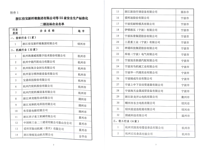 20190619安全生产标准化二级达标企业（佳宝新纤维）-2 - 副本.jpg