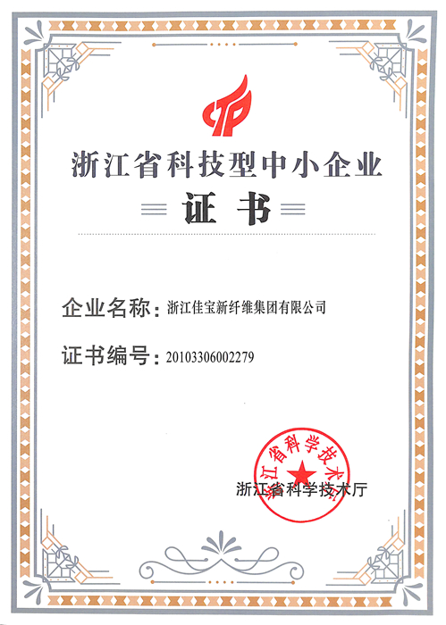 浙江省科技型中小企业证书-佳宝新纤维.jpg